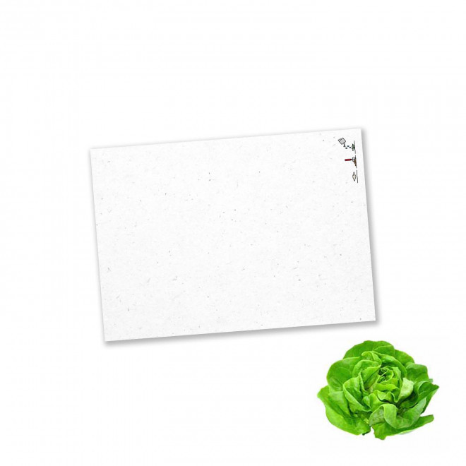 PAPIER ENSEMENCE MIE PERSONNALISE 'HORTUS' A6 - salade