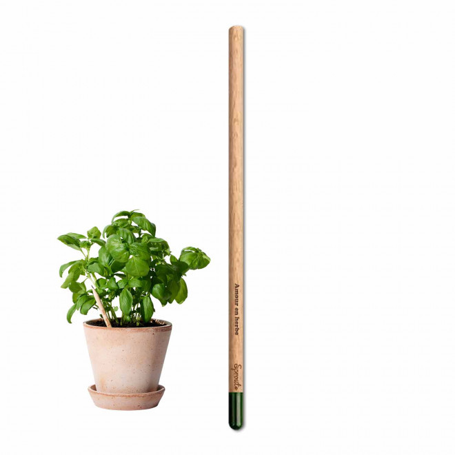 CRAYON GRAINES AVEC CARTONETTE PERSONNALISABLE 'POUSS HAPPY WORK'    - basilic