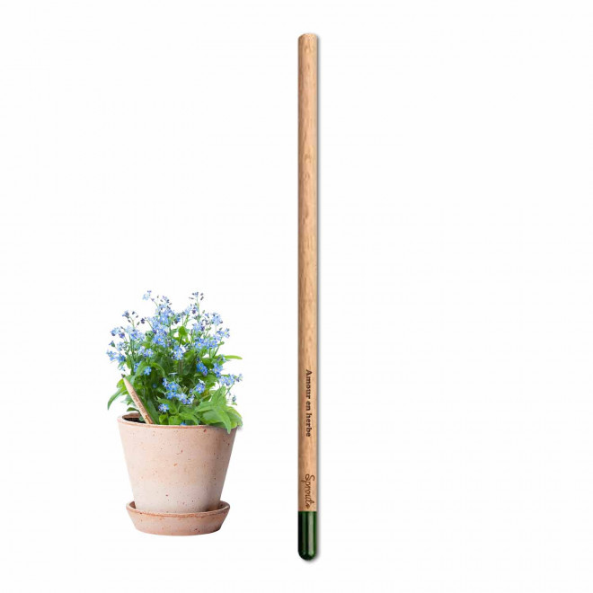 CRAYON GRAINES AVEC CARTONETTE PERSONNALISABLE 'POUSS HAPPY WORK'    - myosotis