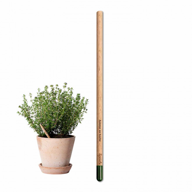 CRAYON GRAINES AVEC CARTONETTE PERSONNALISABLE 'POUSS HAPPY WORK'    - thym