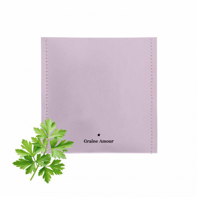 EXPRESS 72H - SACHET GRAINES PERSONNALISABLE 'SEMILLA'  - violet