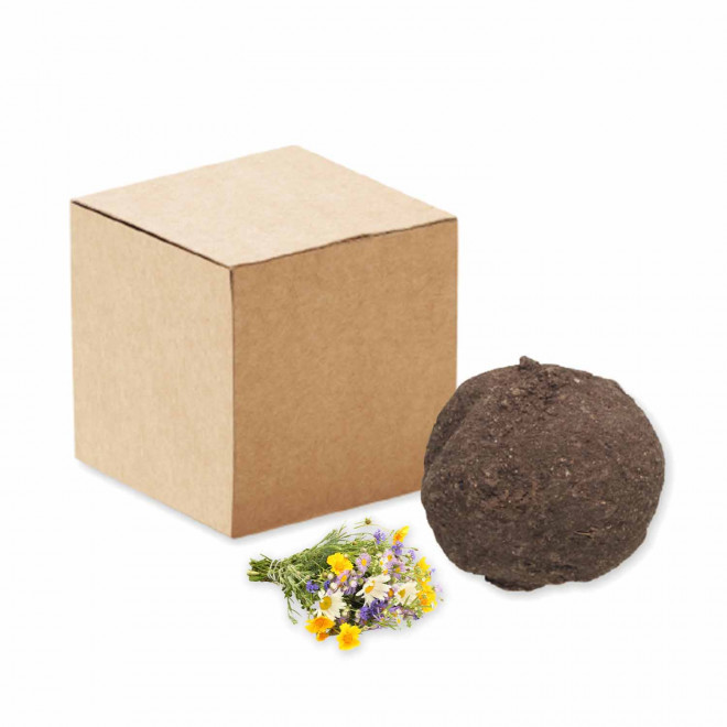 BOMBE A GRAINES PERSONNALISABLE 'BLOMA QUADRI' - fleurs sauvages