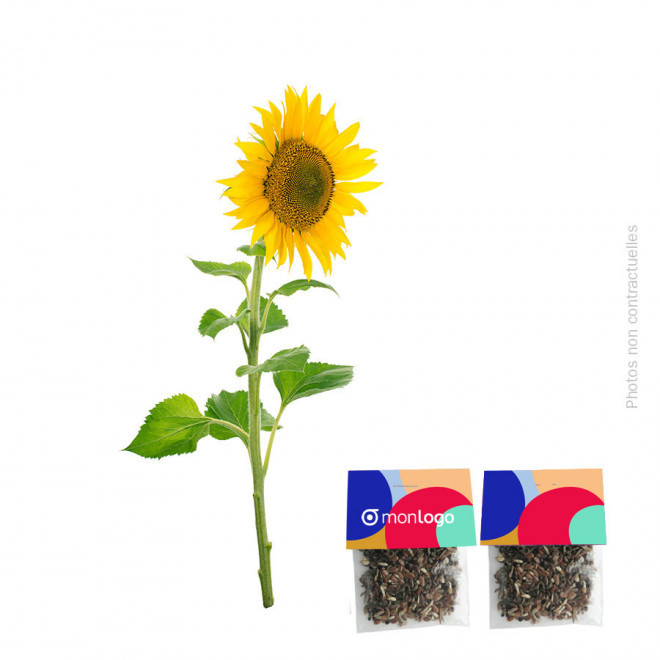 SACHET DE GRAINES PERSONNALISABLE 'SEEDY' - tournesol