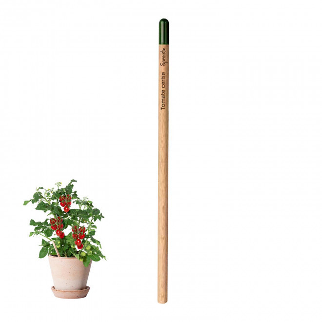 CRAYON PAPIER GRAINES PERSONNALISABLE 'POUSS' - tomate cerise