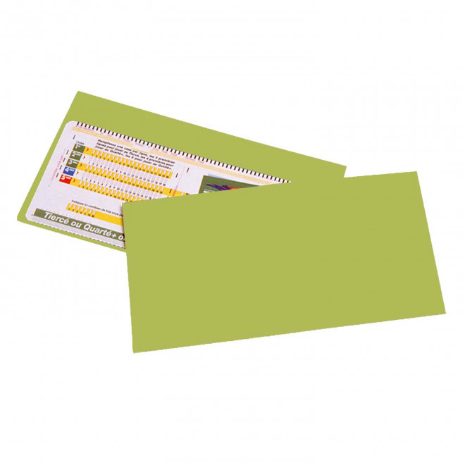 POCHETTE PERSONNALISABLE PMU 1 VOLET 'LUCKY LUCK' - vert anis