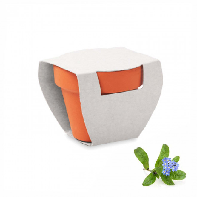 KIT DE PLANTATION PUBLICITAIRE 'POPPY QUADRI' - myosotis