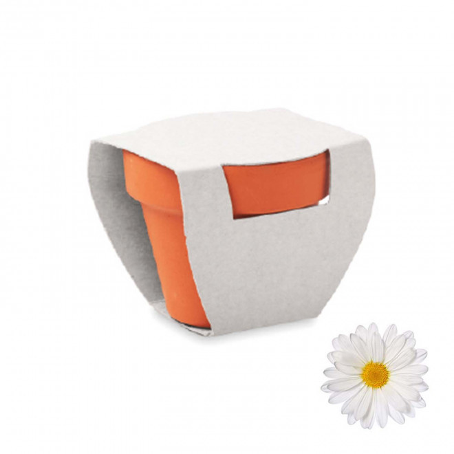 KIT DE PLANTATION PUBLICITAIRE 'POPPY QUADRI' - marguerite