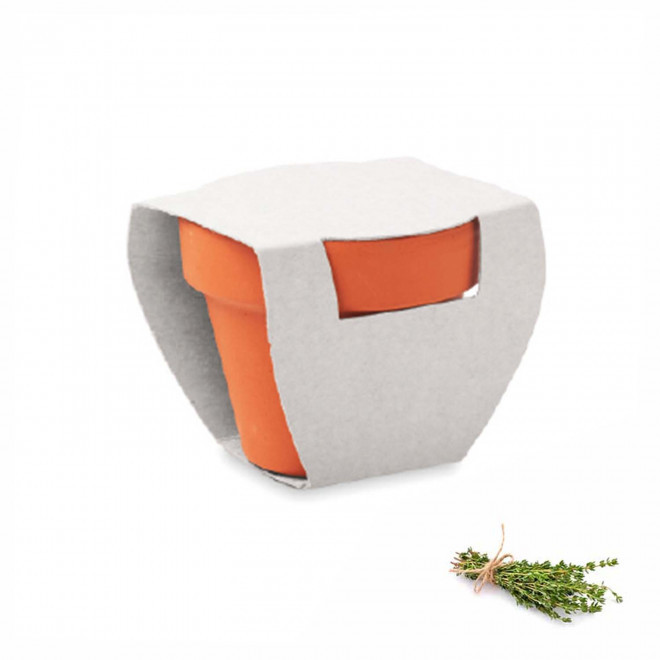 KIT DE PLANTATION PUBLICITAIRE 'POPPY QUADRI' - thym