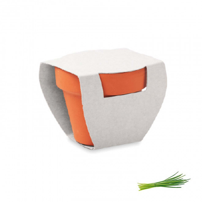 KIT DE PLANTATION PUBLICITAIRE 'POPPY QUADRI' - ciboulette