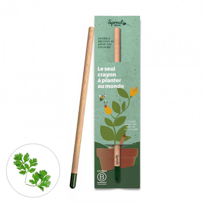 CRAYON GRAINES PERSONNALISÉ CARTONNETTE 'POUSS' - coriandre