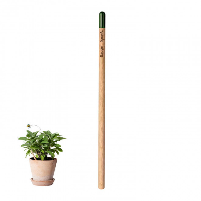 CRAYON PAPIER GRAINES PERSONNALISABLE 'POUSS' - sauge