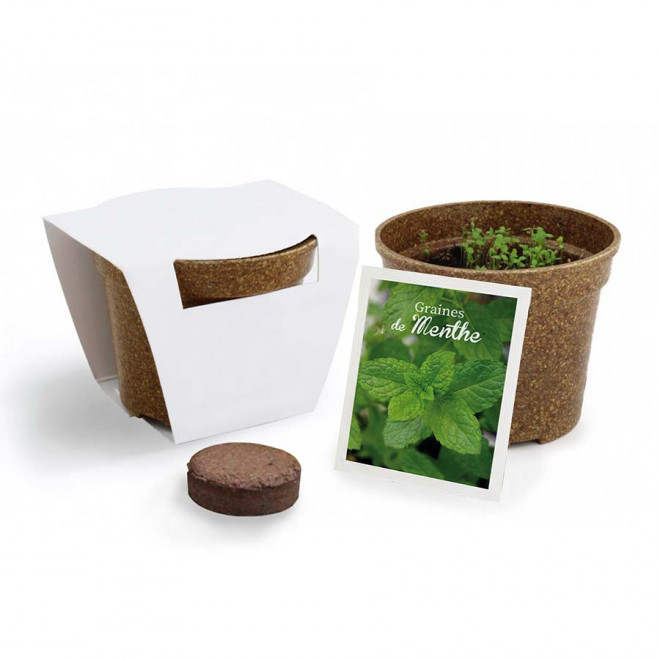 KIT PERSONNALISABLE DE PLANTATION JARDIN ECOLO 'ARROZY RRIZ' - menthe