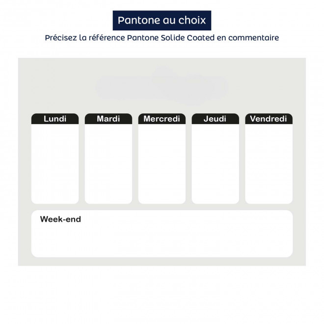 PLANNING AIMANTE PUBLICITAIRE 'CHECK' - pantone - 30x21cm