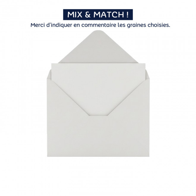 CARTE 2 VOLETS AVEC GRAINES PERSONNALISABLE 'POUVOI' - carte sous enveloppe