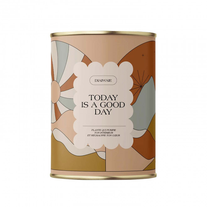 PLANTE EN POT PERSONNALISABLE 'PURETE PETIT' - Today is a good day