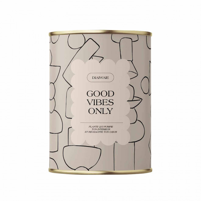 PLANTE EN POT PERSONNALISABLE 'PURETE GRAND' - Good vibes only