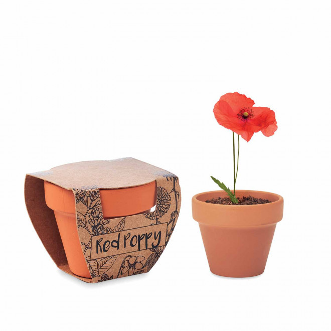 KIT DE PLANTATION PERSONNALISABLE 'POPPY' - coquelicot