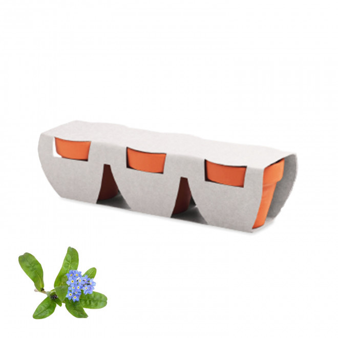 KIT DE PLANTATION PERSONNALISABLE 'POPPY QUADRI TRIO' - myosotis