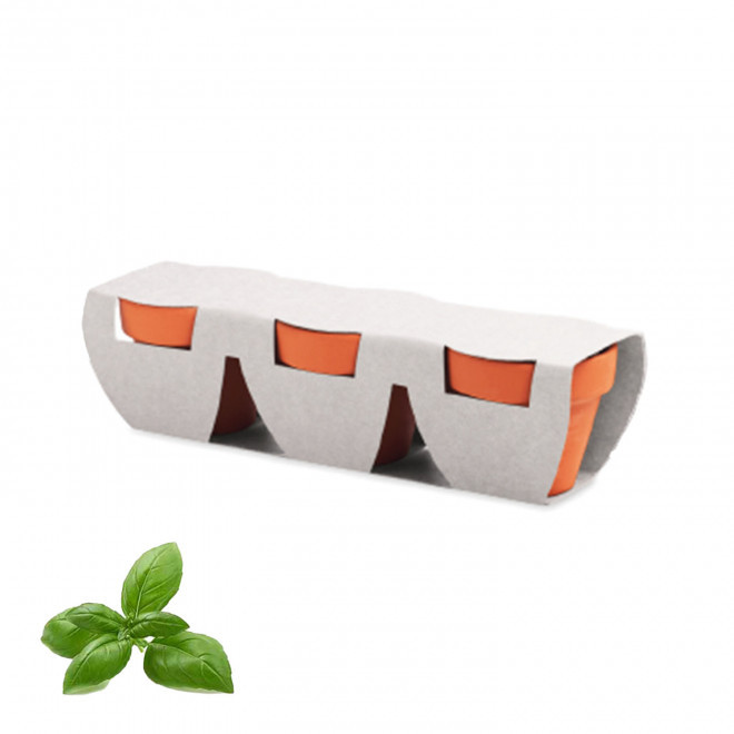 KIT DE PLANTATION PERSONNALISABLE 'POPPY QUADRI TRIO' - basilic