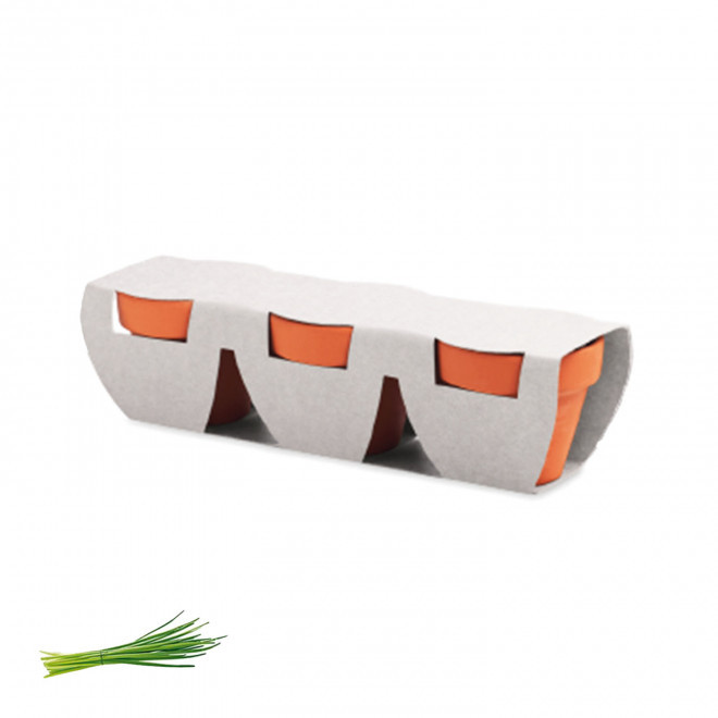 KIT DE PLANTATION PERSONNALISABLE 'POPPY QUADRI TRIO' - ciboulette