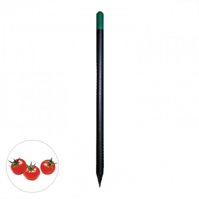 CRAYON A GRAINES PERSONNALISABLE 'SID BLACK' - tomate