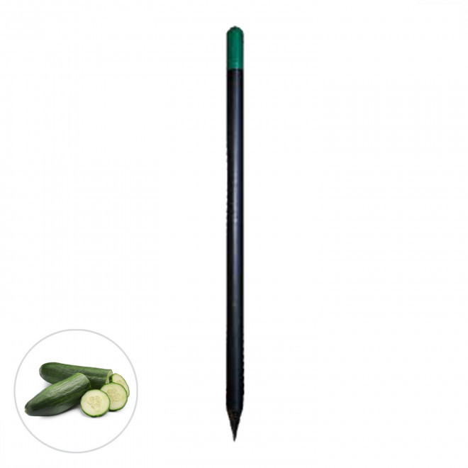 CRAYON A GRAINES PERSONNALISABLE 'SID BLACK' - concombre