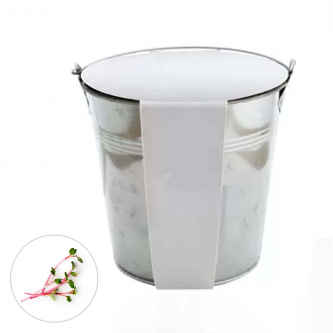 KIT PLANTATION POT ZINC MIF 13ø 'PLANTOU' - cresson