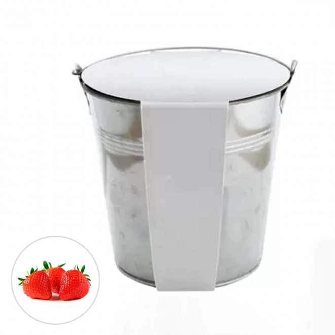 KIT PLANTATION POT ZINC MIF 13ø 'PLANTOU' - fraise des bois