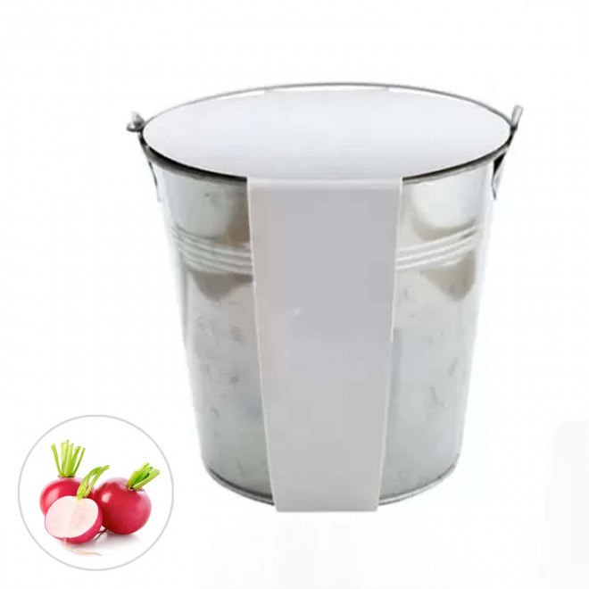 KIT PLANTATION POT ZINC MIF 13ø 'PLANTOU' - radis