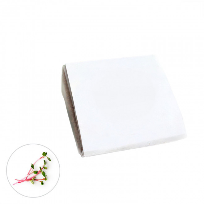 KIT POCKET COCO PERSONNALISABLE 'CLOLU' - cresson