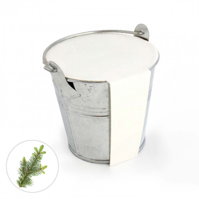 KIT PLANTATION POT ZINC MIF PUBLICITAIRE 8ø 'PLANTOU' - épicéa