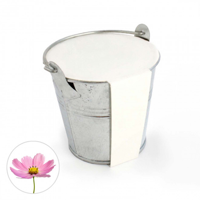 KIT PLANTATION POT ZINC MIF PUBLICITAIRE 8ø 'PLANTOU' - cosmos