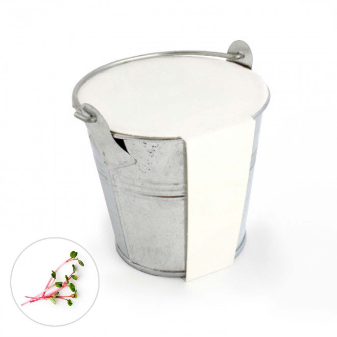 KIT PLANTATION POT ZINC MIF PUBLICITAIRE 8ø 'PLANTOU' - cresson