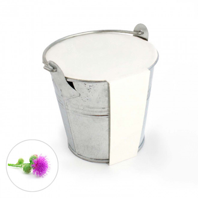 KIT PLANTATION POT ZINC MIF PUBLICITAIRE 8ø 'PLANTOU' - mimosa pudica