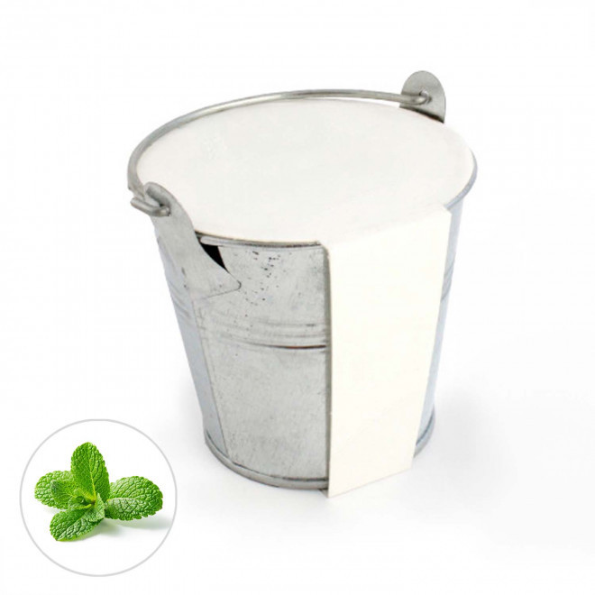 KIT PLANTATION POT ZINC MIF PUBLICITAIRE 8ø 'PLANTOU' - menthe