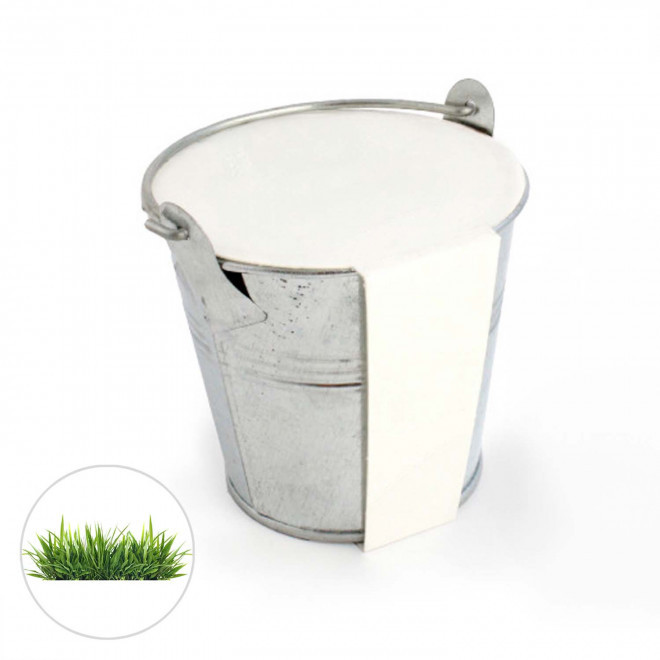 KIT PLANTATION POT ZINC MIF PUBLICITAIRE 8ø 'PLANTOU' - gazon