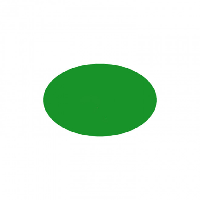 JETON DE FETES ET MANEGE PERSONNALISABLE 'FUNZY OVALE' - vert clair