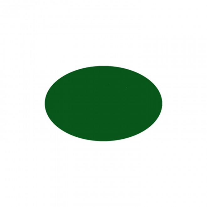JETON DE FETES ET MANEGE PERSONNALISABLE 'FUNZY OVALE' - vert foncé