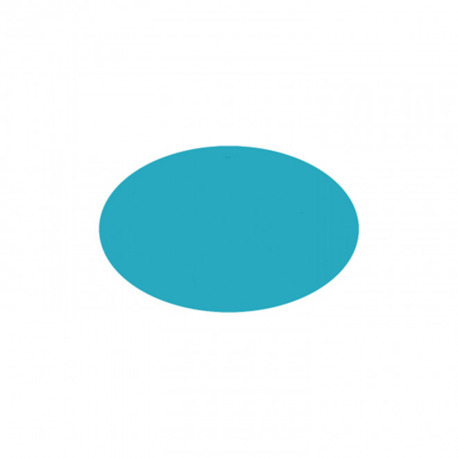 JETON DE FETES ET MANEGE PERSONNALISABLE 'FUNZY OVALE' - turquoise