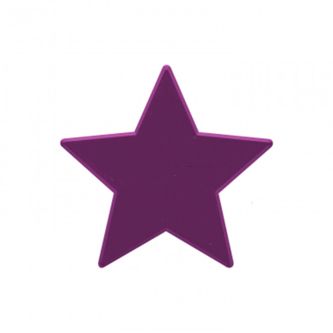 JETON DE FETES ET MANEGE PERSONNALISABLE 'FUNZY ETOILE' - violet foncé - 7x7cm