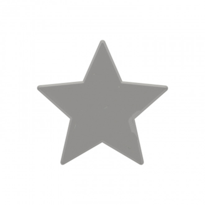JETON DE FETES ET MANEGE PERSONNALISABLE 'FUNZY ETOILE' - argenté - 7x7cm