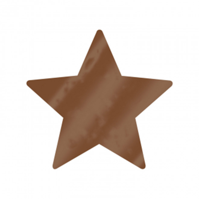 JETON DE FETES ET MANEGE PERSONNALISABLE 'FUNZY ETOILE' - cuivre - 9x9cm