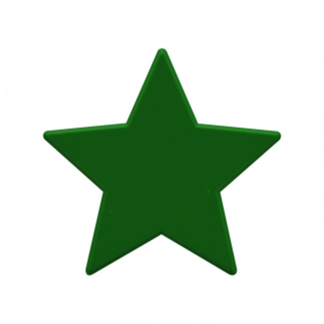 JETON DE FETES ET MANEGE PERSONNALISABLE 'FUNZY ETOILE' - vert foncé - 9x9cm
