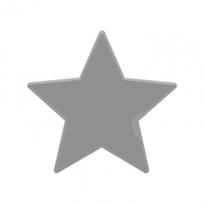 JETON DE FETES ET MANEGE PERSONNALISABLE 'FUNZY ETOILE' - argenté - 9x9cm