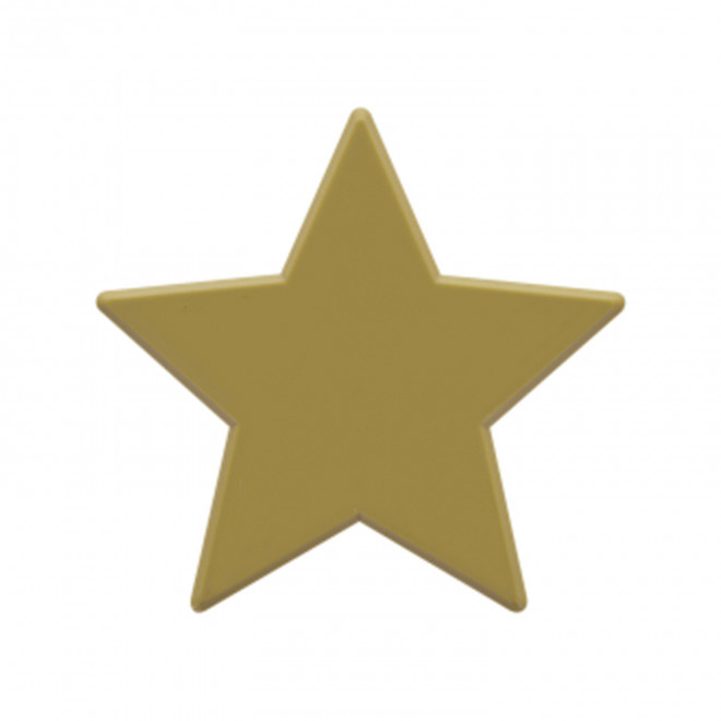 JETON DE FETES ET MANEGE PERSONNALISABLE 'FUNZY ETOILE' - or - 9x9cm