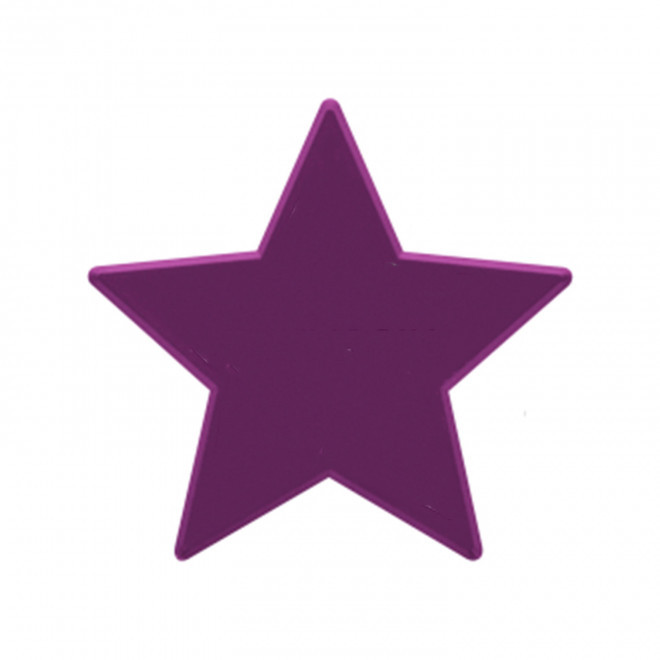 JETON DE FETES ET MANEGE PERSONNALISABLE 'FUNZY ETOILE' - violet foncé - 9x9cm