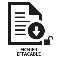 499017 | INSERT FICHIER EFFACABLE
