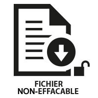 544806 | INSERT FICHIER NON-EFFACABLE