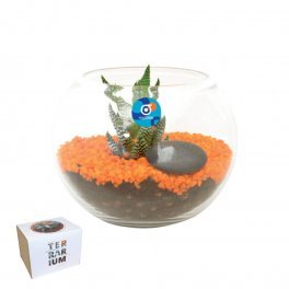 KIT TERRARIUM PLANTE PERSONNALISABLE 'TERRARIUS'