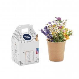 KIT DE PLANTATION PERSONNALISABLE AVEC CRAYON 'CASAFIORI'